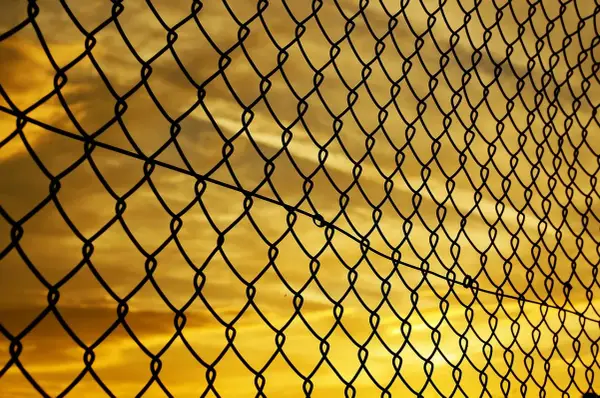 Ogrodzenia panelowe 2D i 3D – Nowoczesne rozwiązania dla każdego terenu